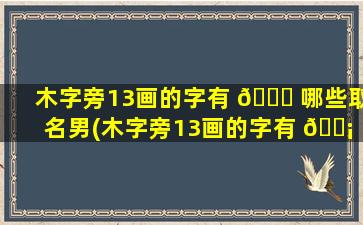 木字旁13画的字有 🐎 哪些取名男(木字旁13画的字有 🐡 哪些取名男孩子)